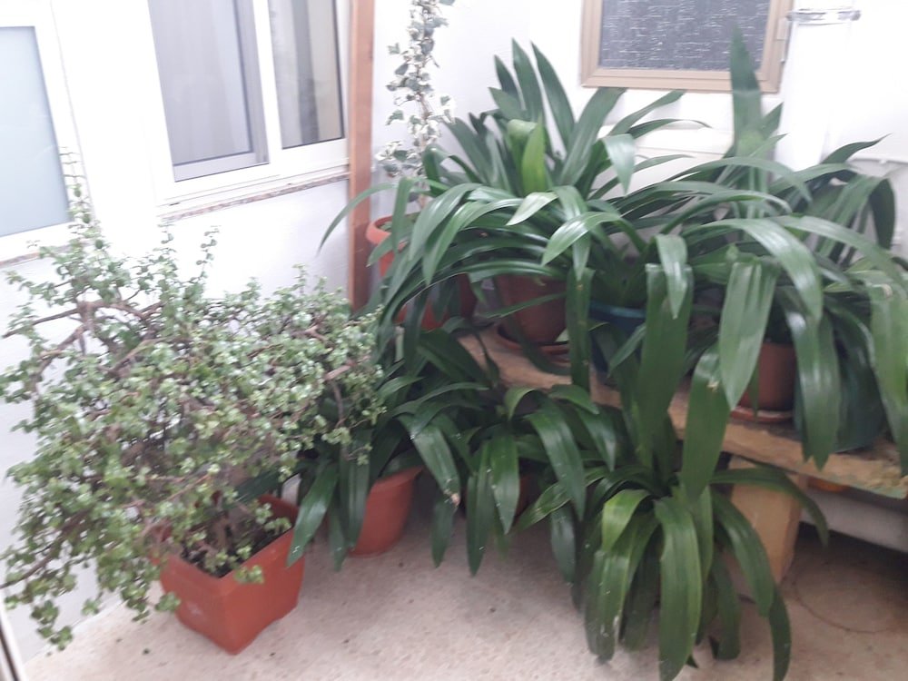 Фото Estrella Lodging