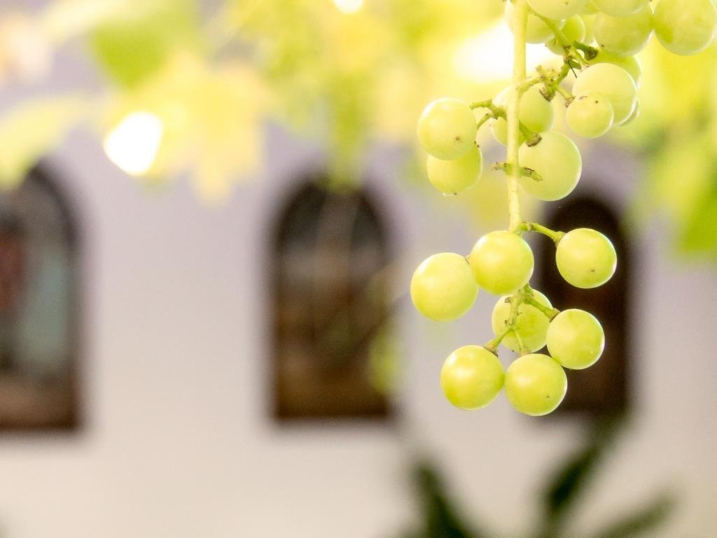 Фото Hotel Brößler