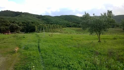 Фото Case Vacanza Sa Mitza