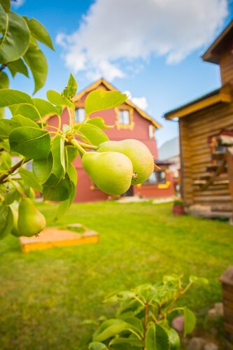 Гостевой дом Купец в Суздале