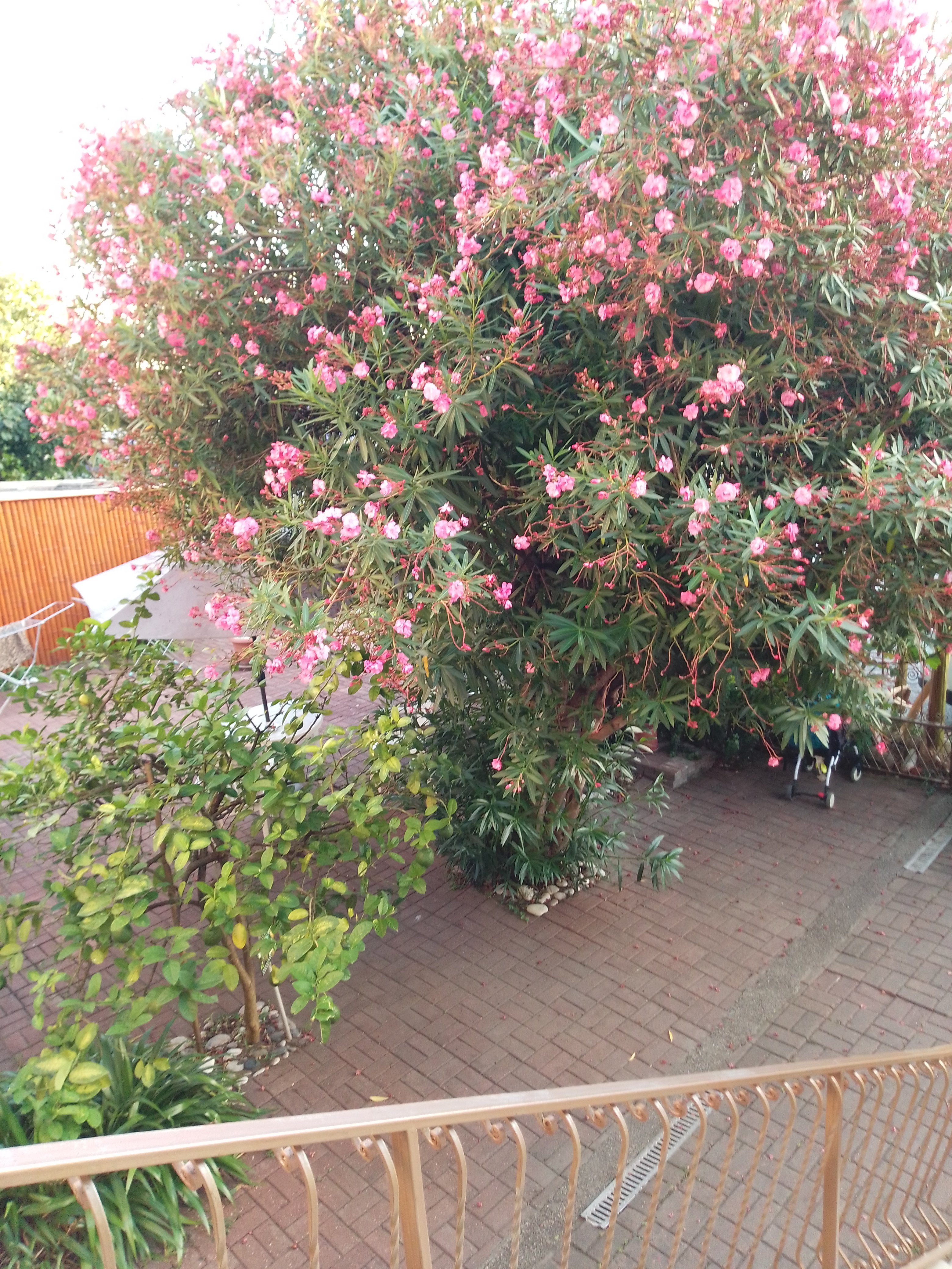 Фото Мини-гостиница Marco Club