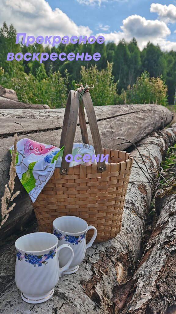 Place for picnic Place for picnic, Kaluga Oblast, photo