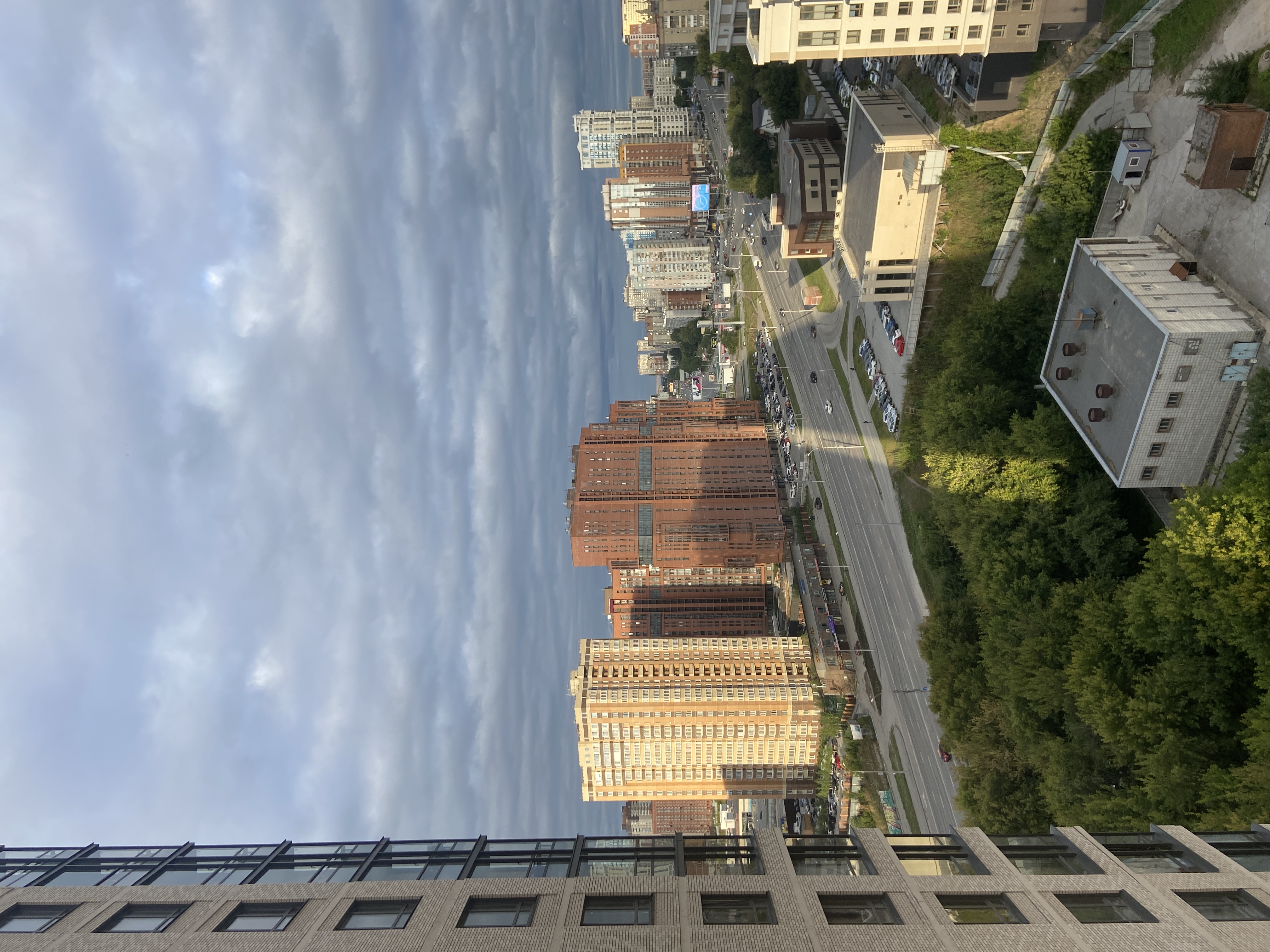 Фото Метелица