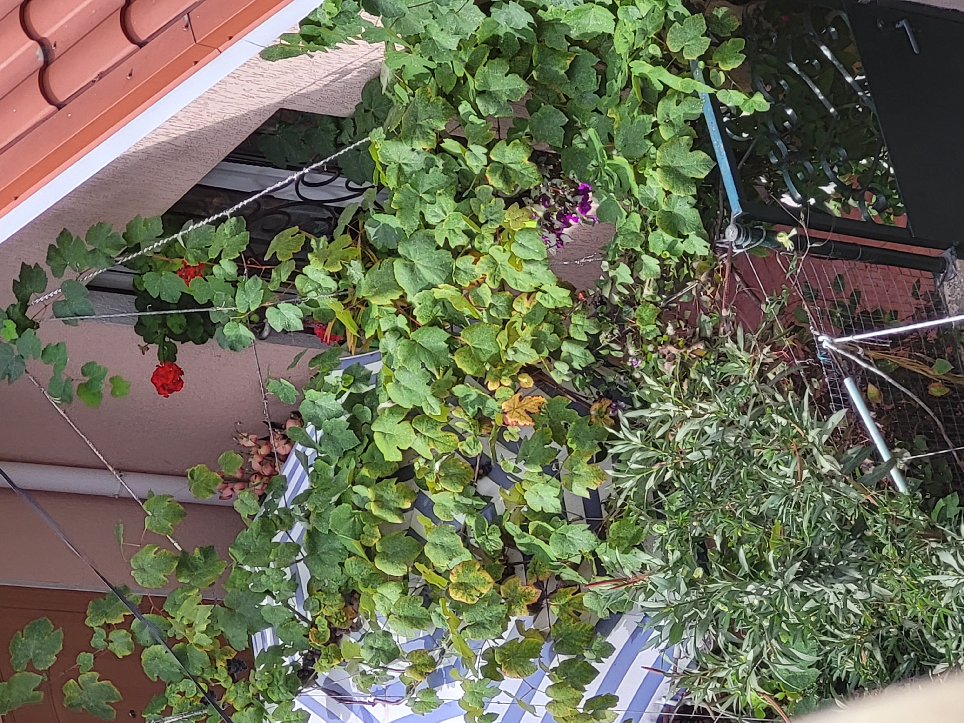 Фото Ялта вояж