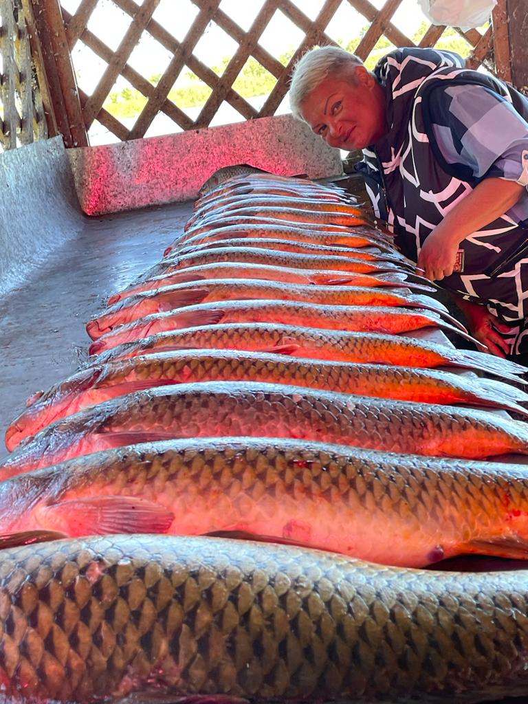 Фото Олигри Fish