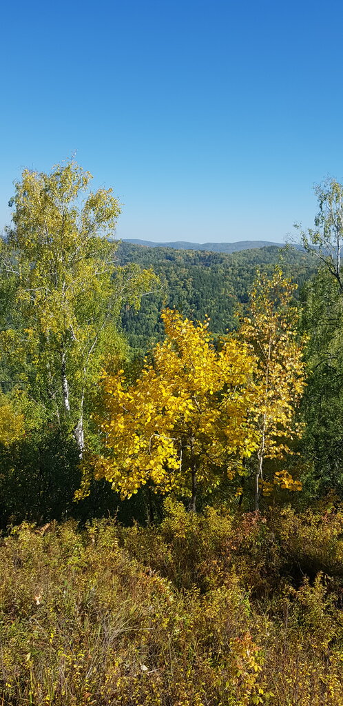 Museum Седой Алтай, Belokurikha, photo