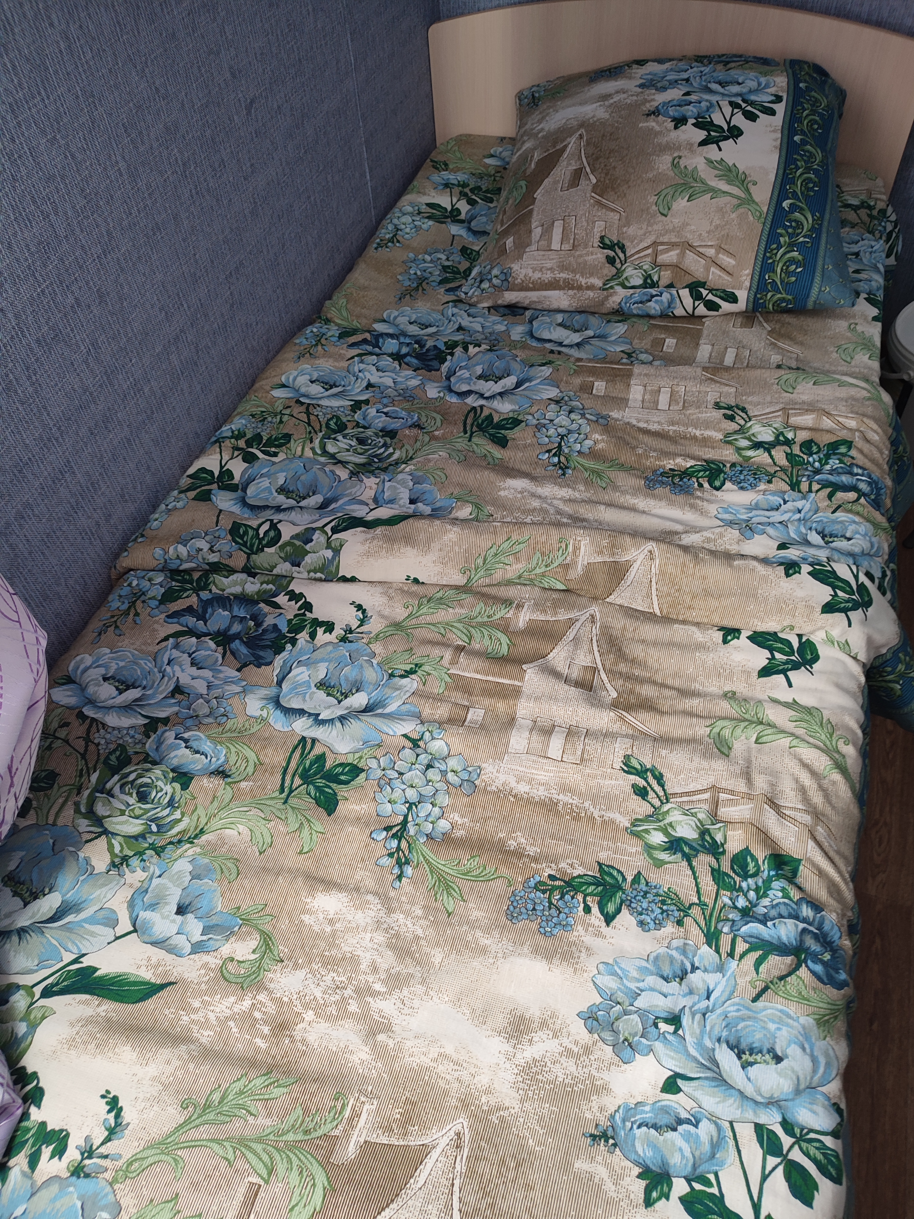 Фото Березка