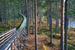 Объединенная дирекция государственного природного биосферного заповедника Костомукшский и национального парка Калевальский (Приозёрная ул., 2), экологическая организация в Костомукше