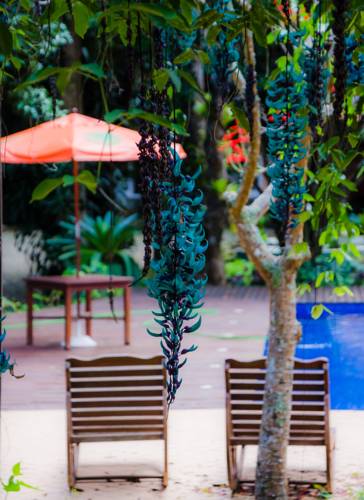 Фото Pousada Quinta do Jade