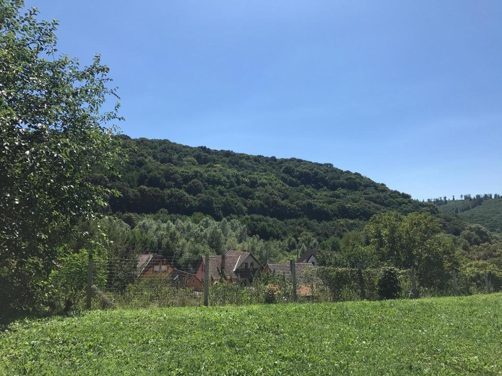 Фото 84359029059