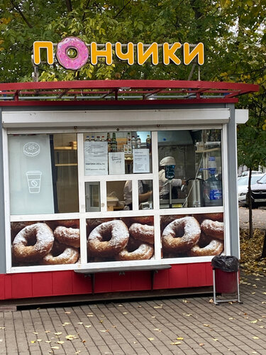 Жетілген дымқыл киска фотосы