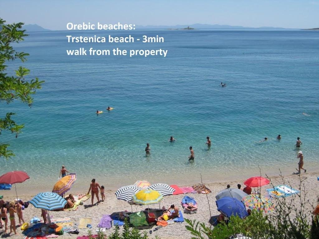 Фото Апартаменты Lastavica