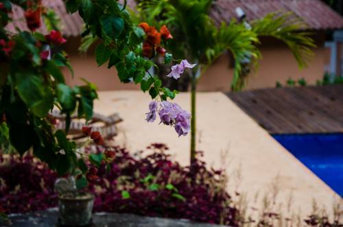 Фото Pousada Quinta do Jade