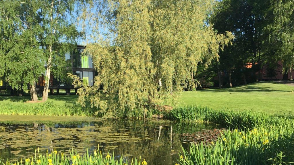 Фото Rungstedgaard