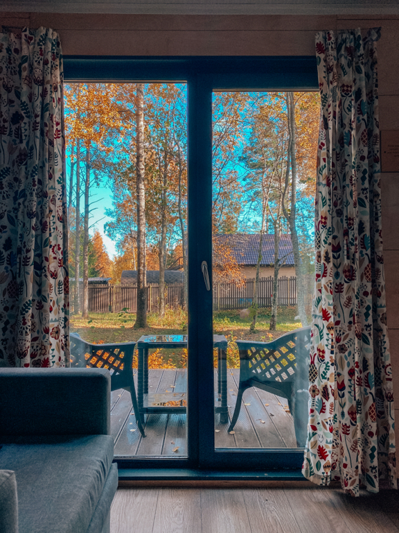 Фото Черника