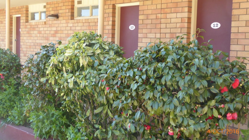 Фото City Centre Motor Inn Armidale