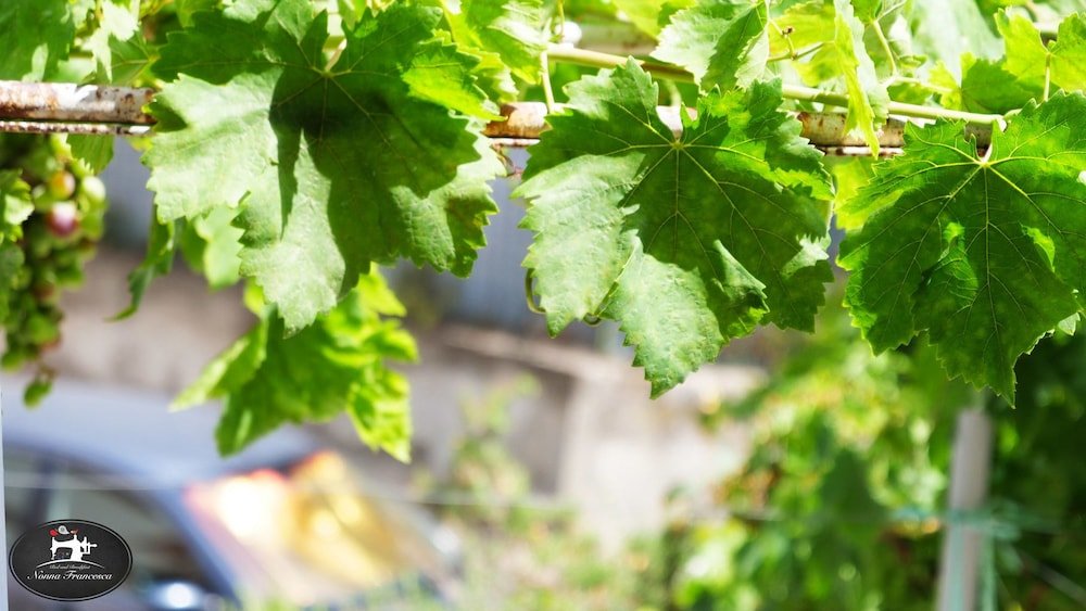 Фото B&b Nonna Francesca