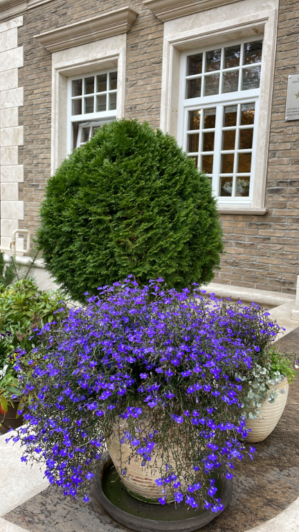 Фото Вилла Тоскана