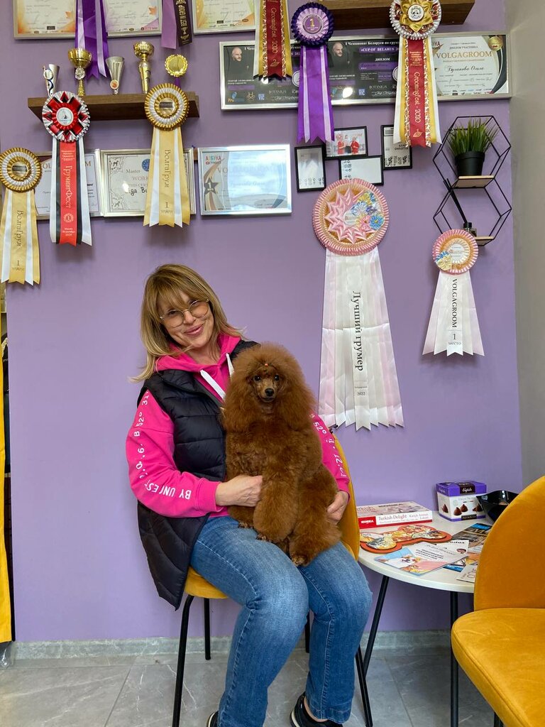 Salón de mascota, peluquería de animales Olga Bulanova's Grooming Studio, , foto
