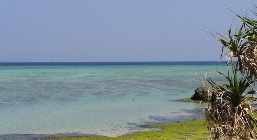 Фото Nakijin no Yado Hibiscus
