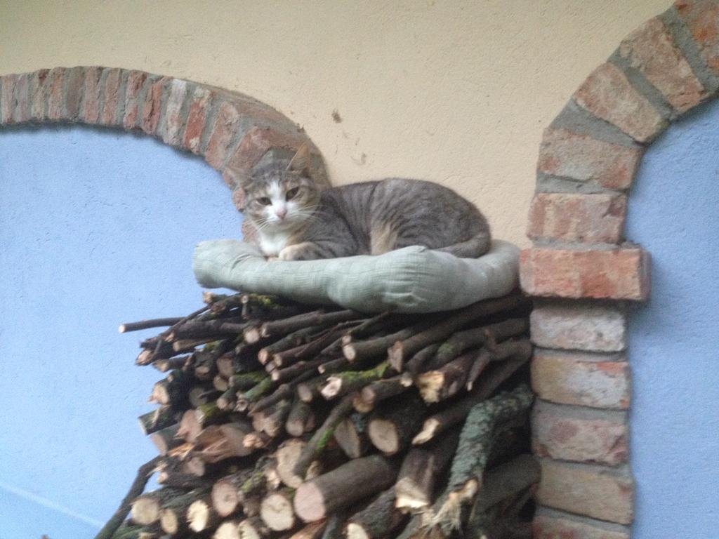 Фото Alle Rive Bed'n Books