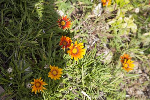 Фото Il Vecchio Frantoio