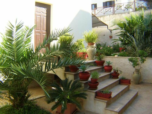 Внешний вид отеля B&b Domus Tiberio в Пиццо, фото 1