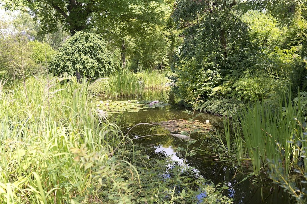 Фото Parkhotel Cup Vitalis