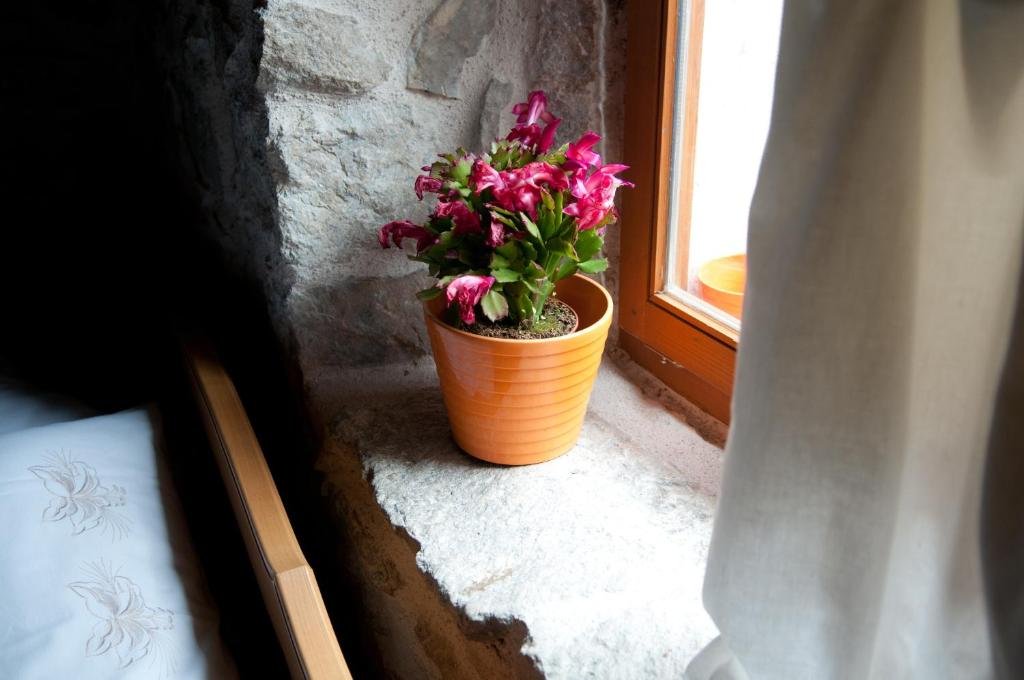 Фото Apartments Salvezani