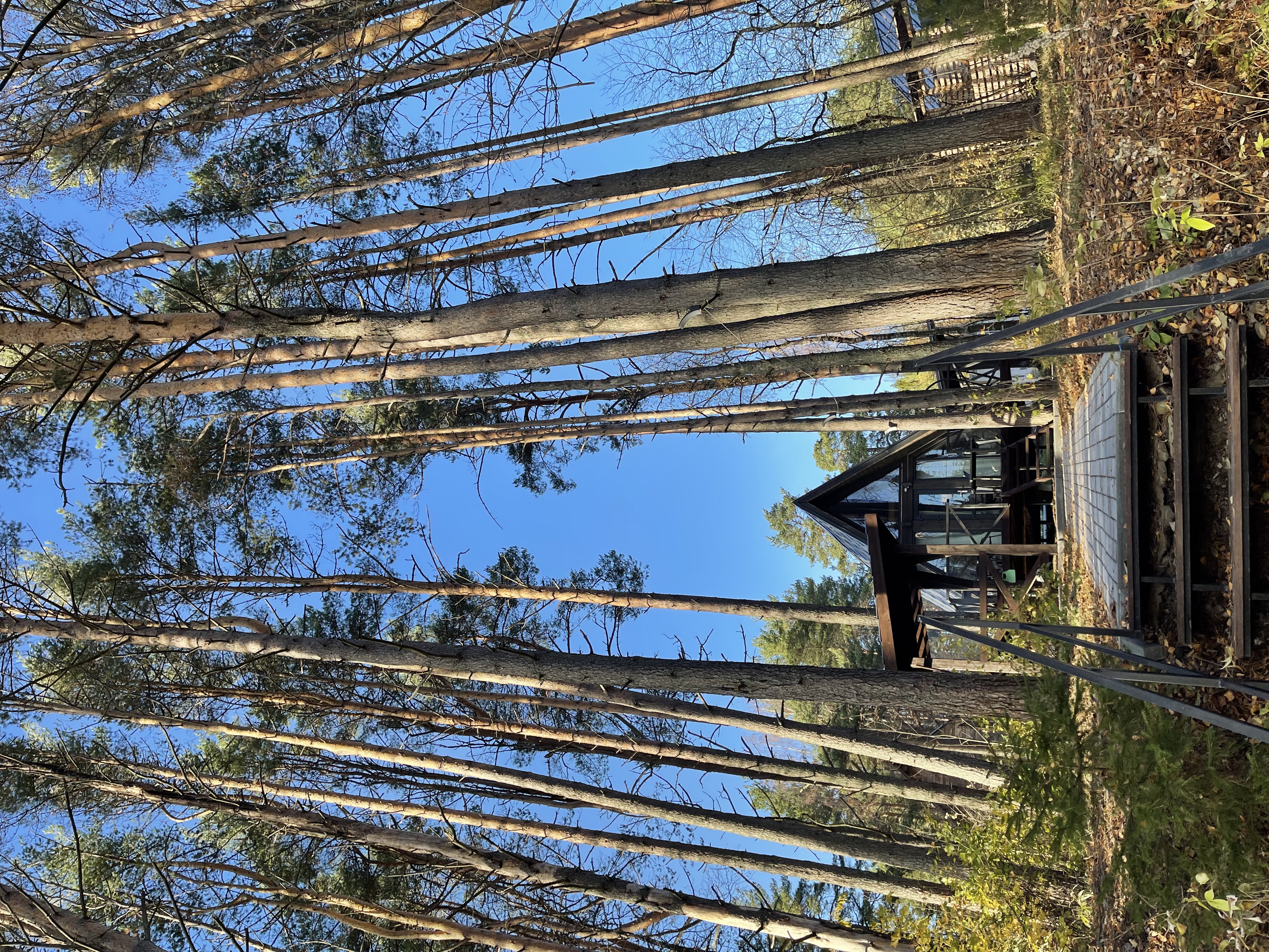 Фото Ривер Хаус