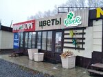 Dostavka tsvetov Gorodskiye tsvety (Yantarnaya ulitsa, 1Б), flowers and bouquets delivery