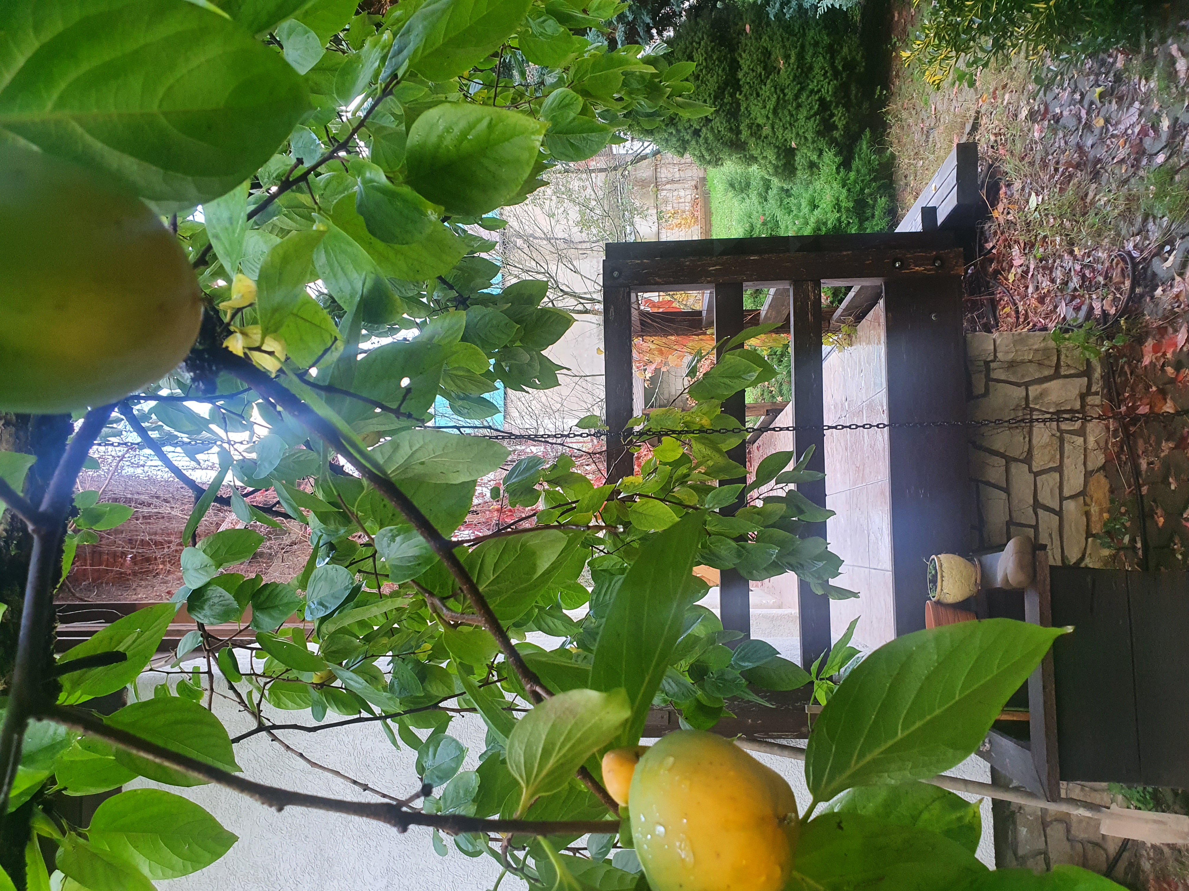 Фото Дом Тере