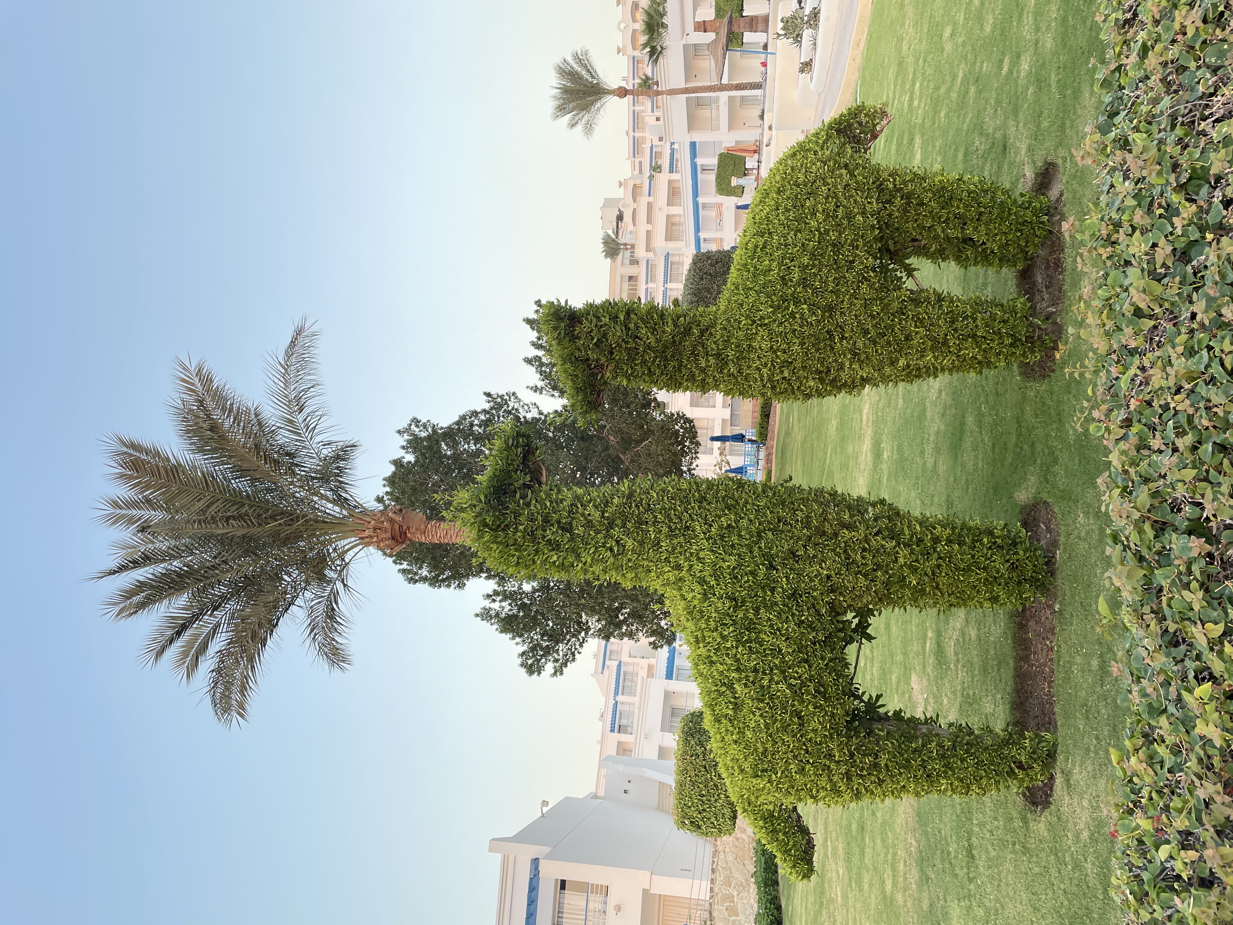 Фото Renaissance Sharm El Sheikh Golden View Beach Resort