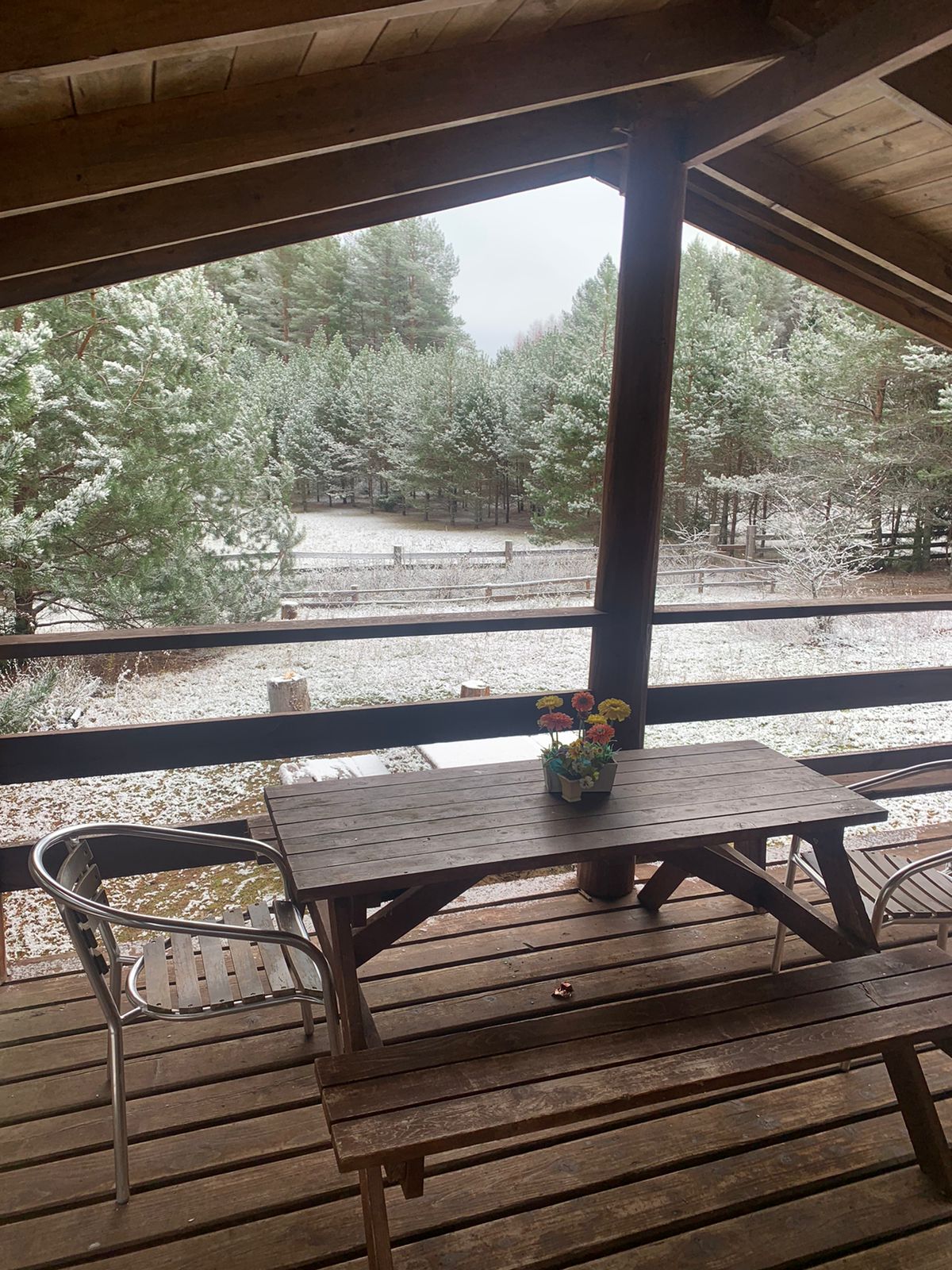 Фото Боровое