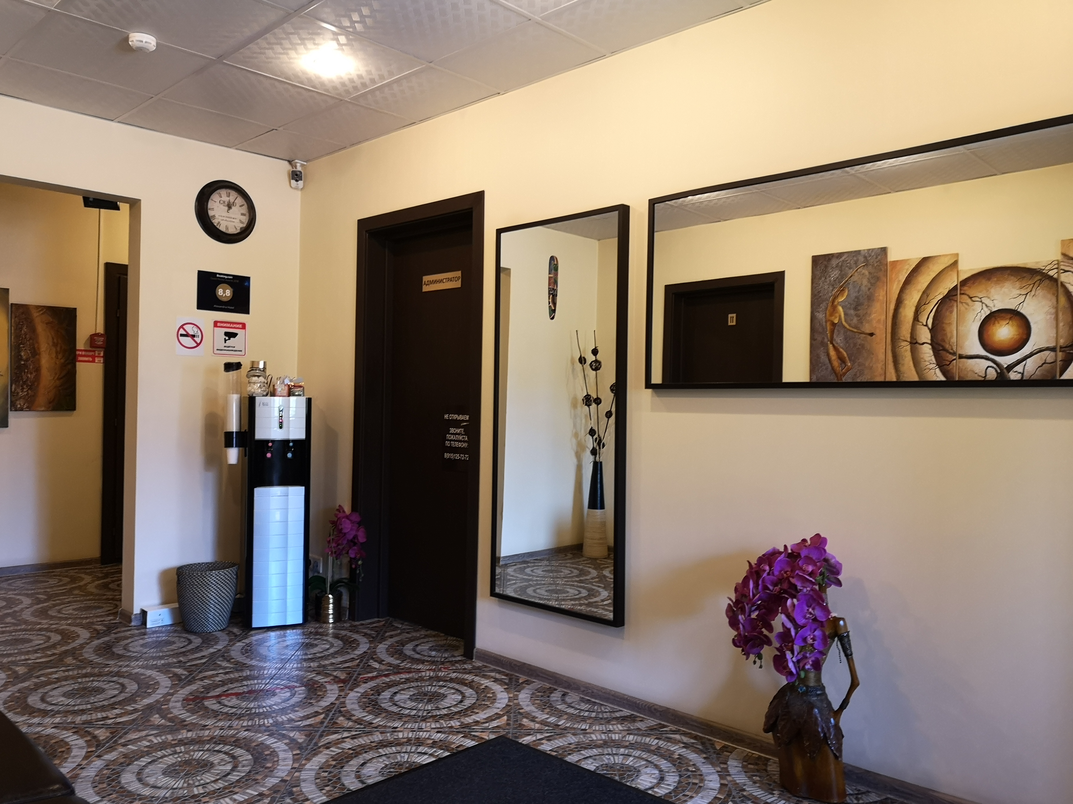 Фото Александрия