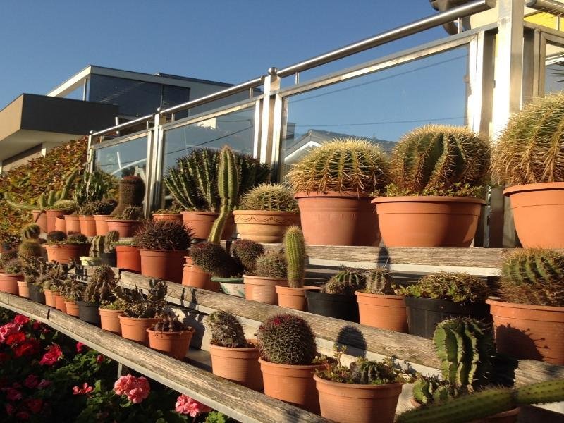 Фото Ajo Apartments Danube