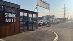 Shark-Auto (Rostov Highway, 26А), exposición de coches