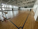 Detskaya Akademiya Futbola Dmitriya Alenicheva (Mira Street, с39А), sports club
