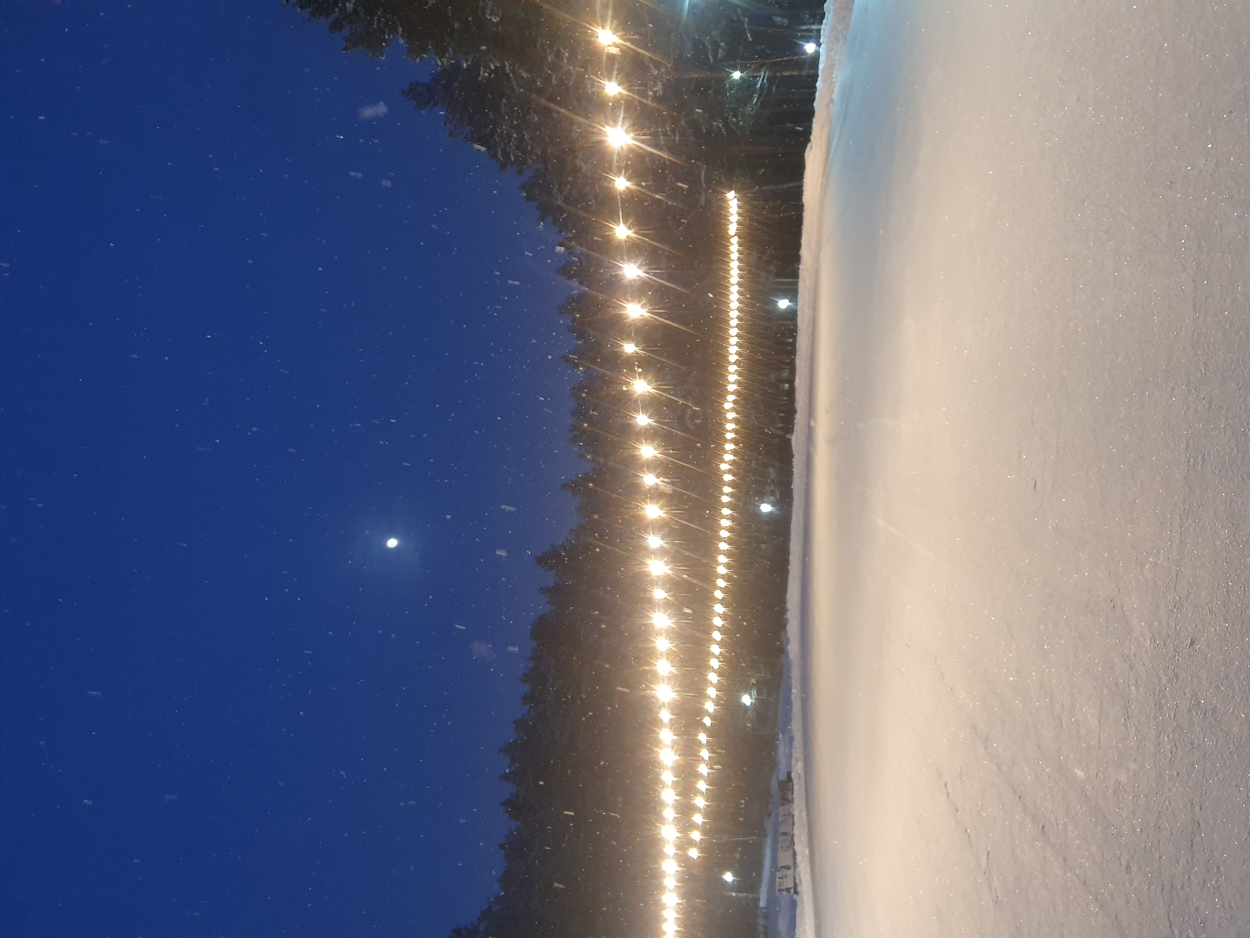 Фото Иволга