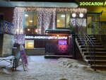 Neon-anemon (Pulkovskaya Street, 2к1) ، محل زهور