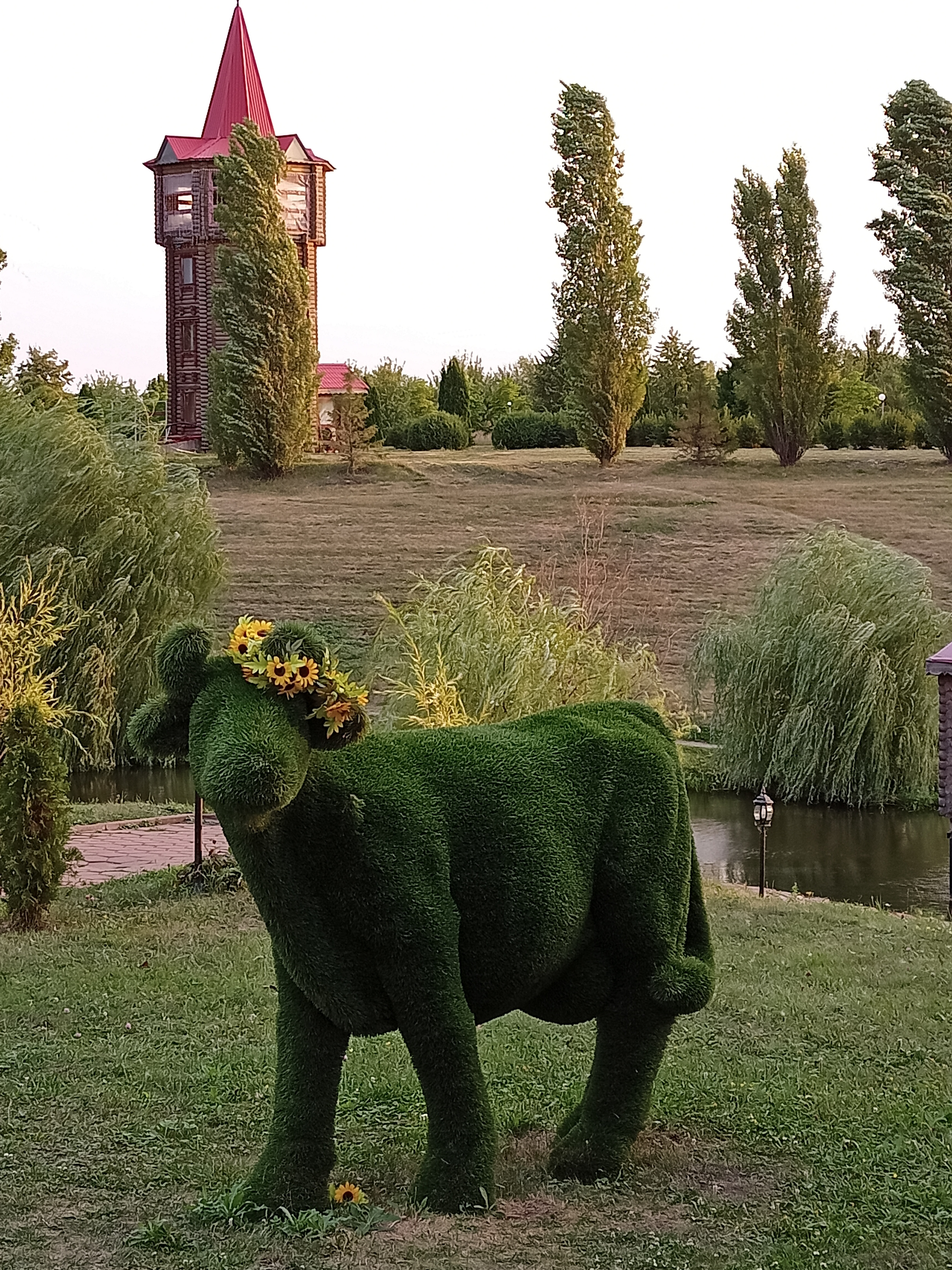 Фото Кленовая роща