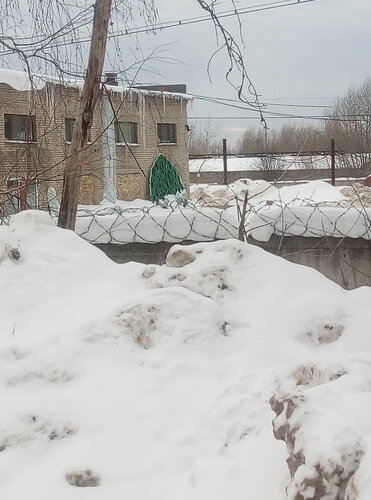 معلم جذب سياحي Арт-объект Дерево рода ، ، صورة