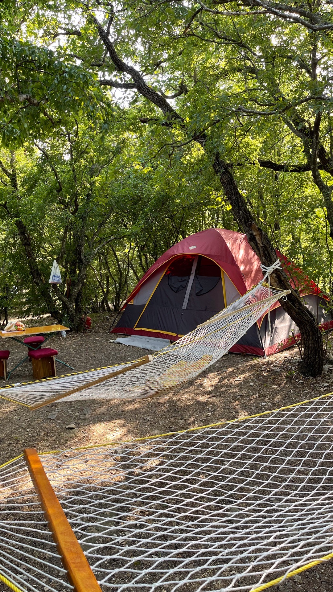 Фото Можжевеловая Роща