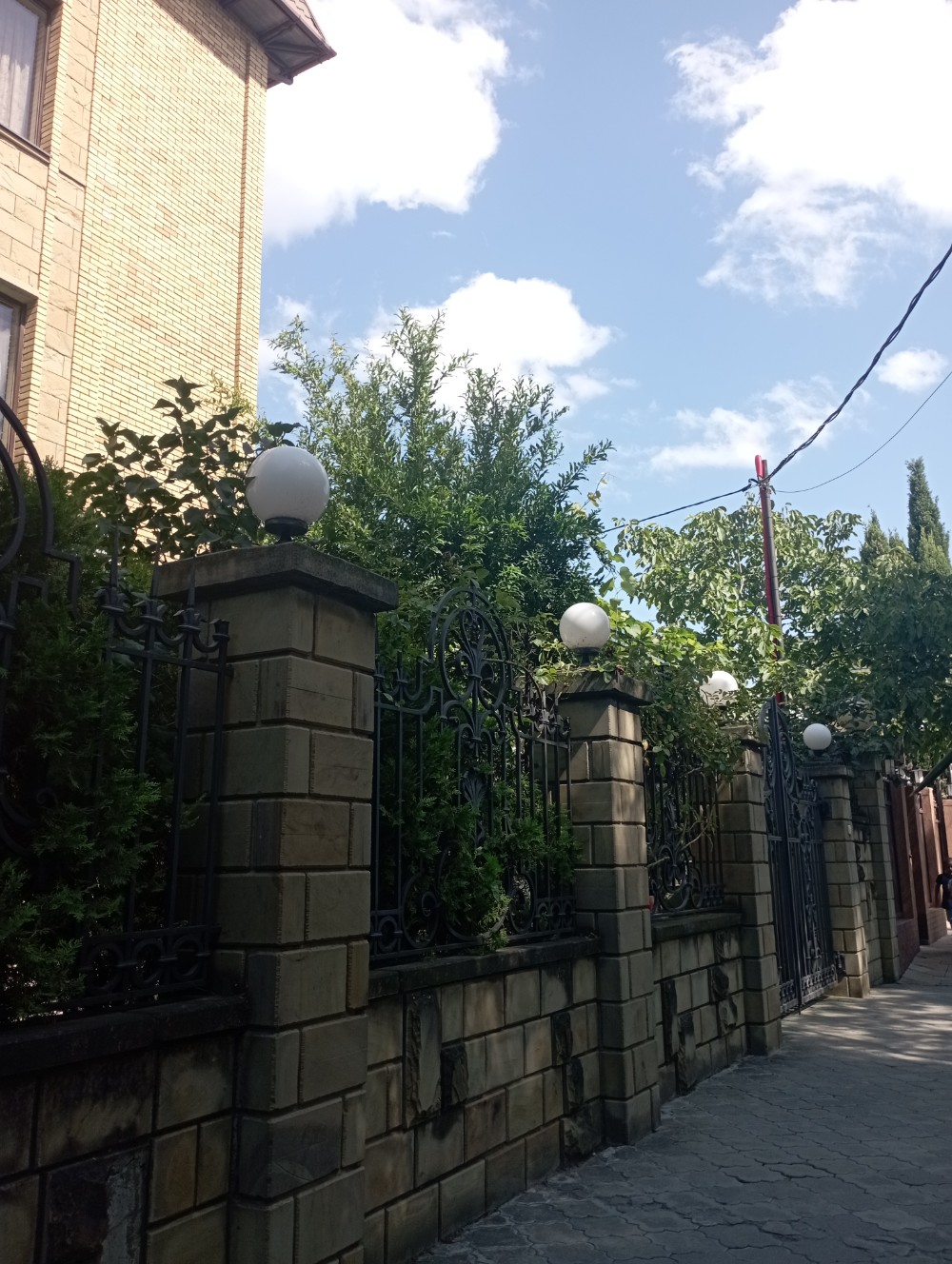 Фото Тельман