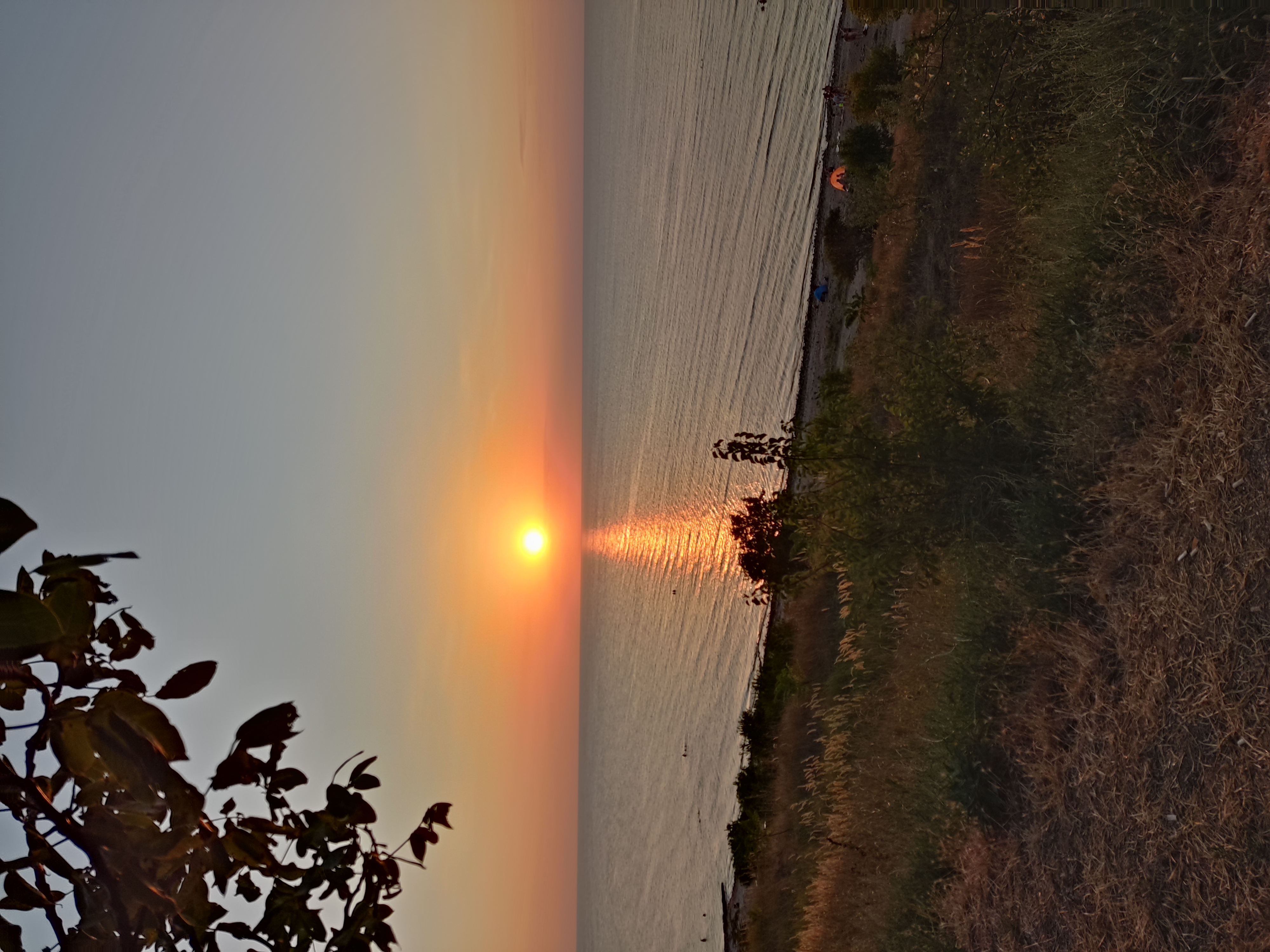 Фото Гостиница у Лукоморья