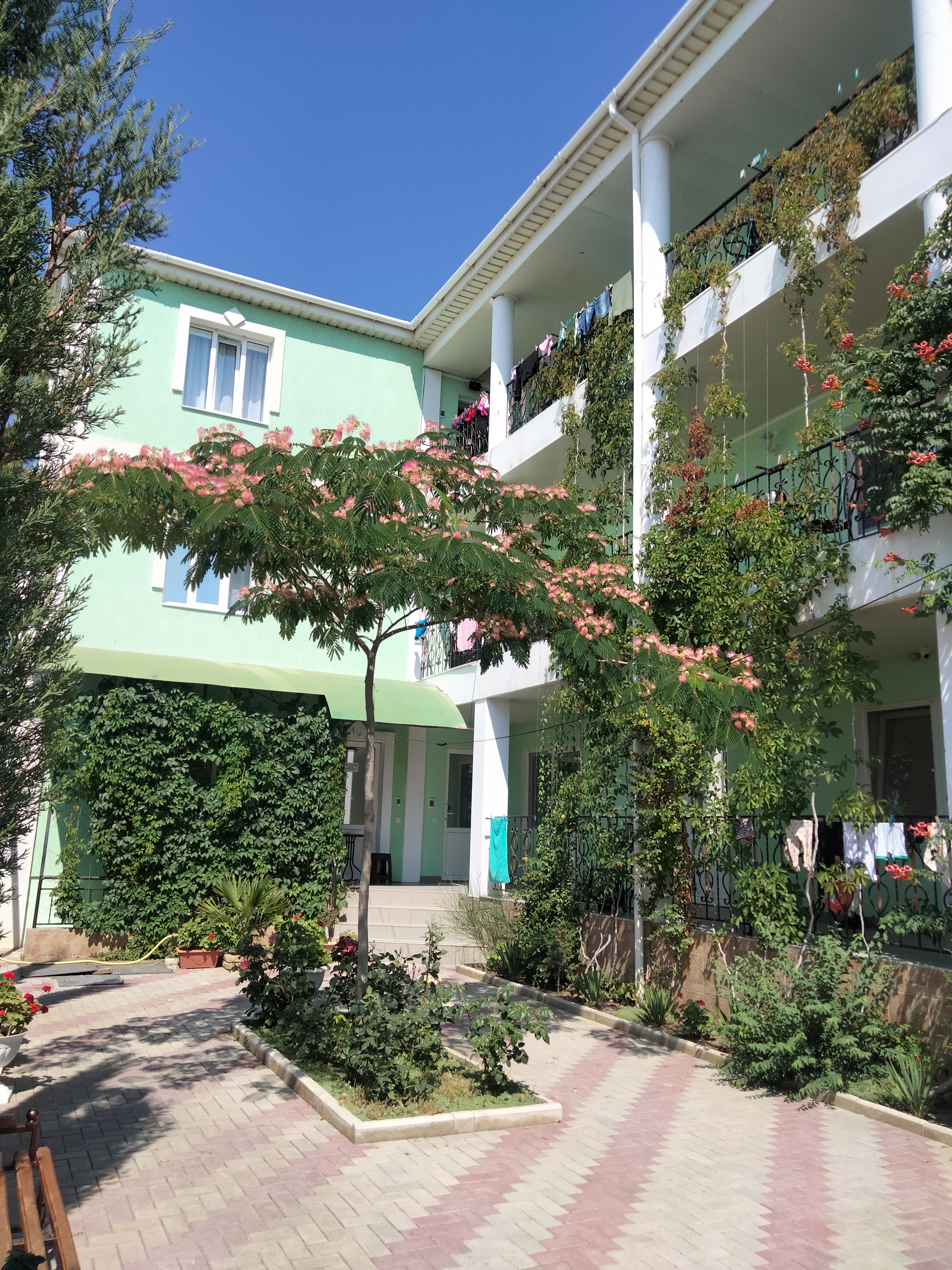 Фото Ешиль Ада у Абдуллы