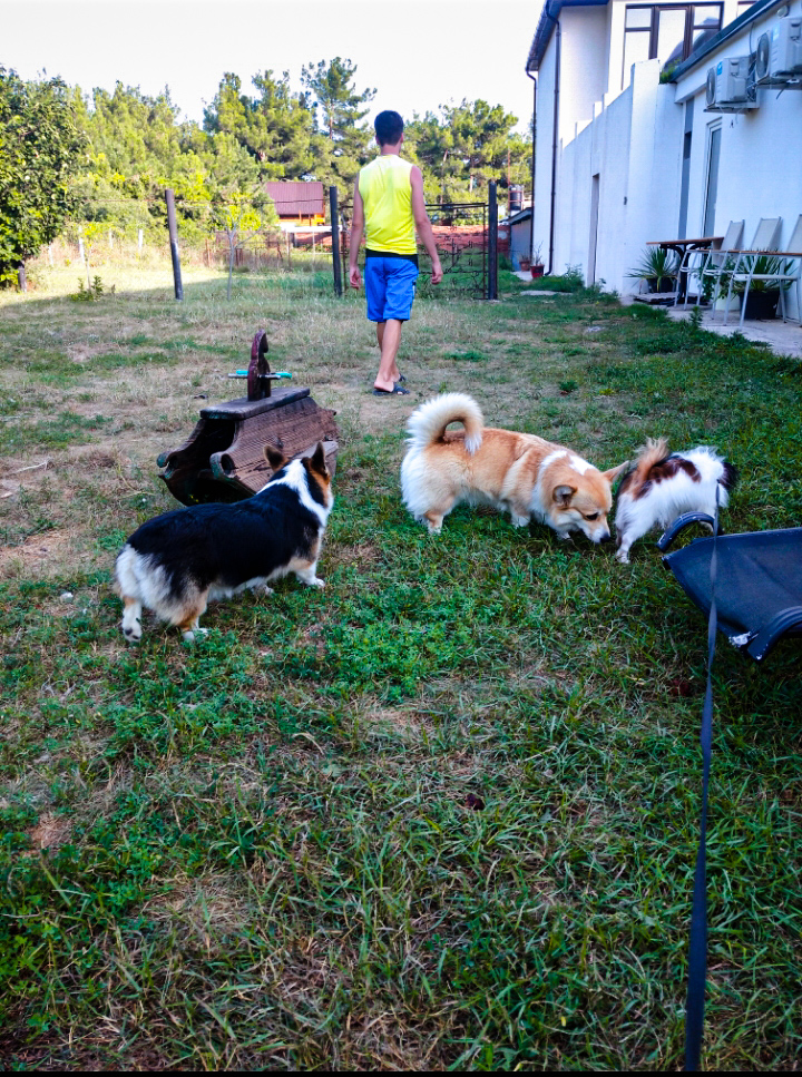 Фото Мохито