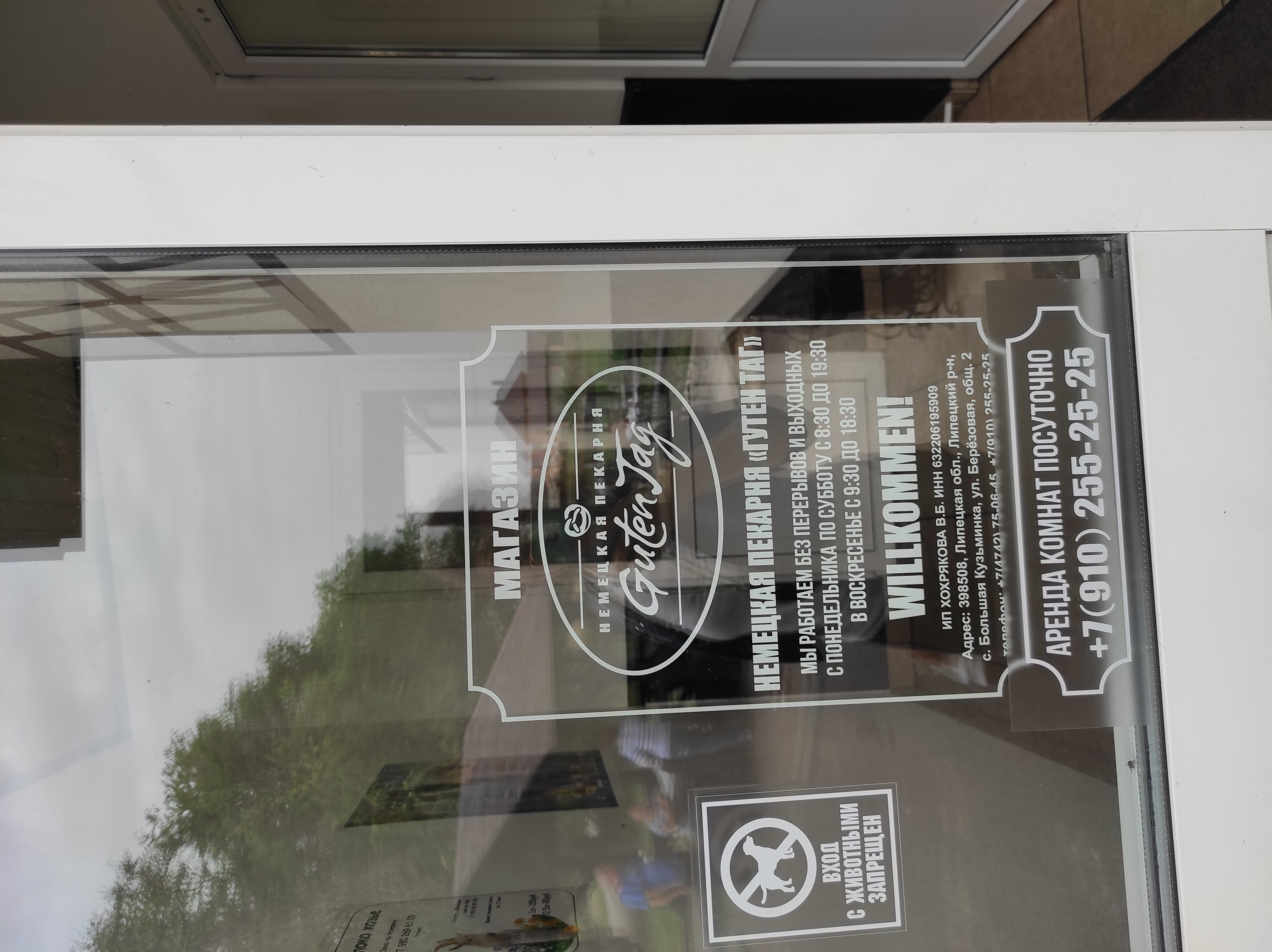 Фото Берёзка