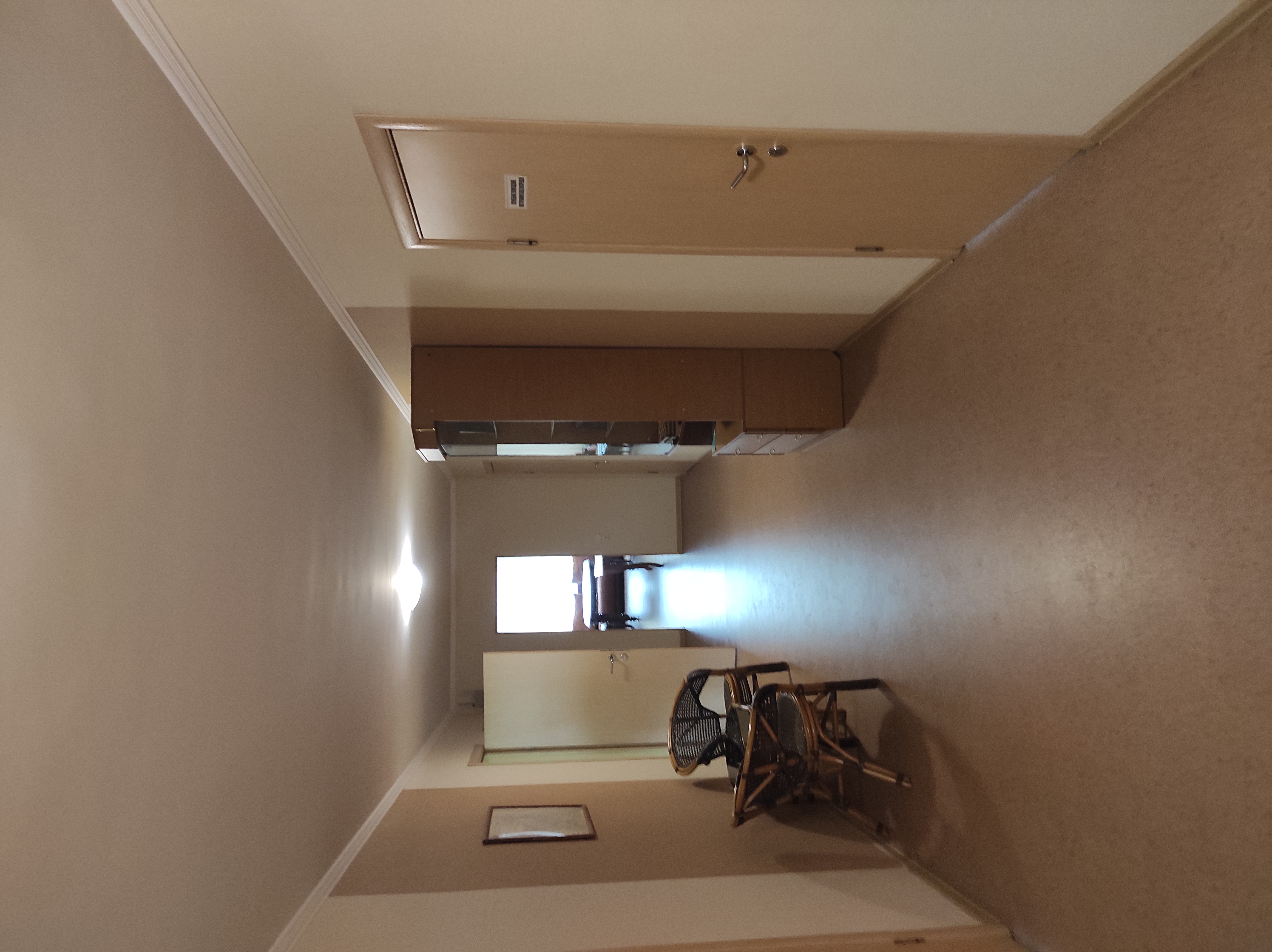 Фото Берёзка