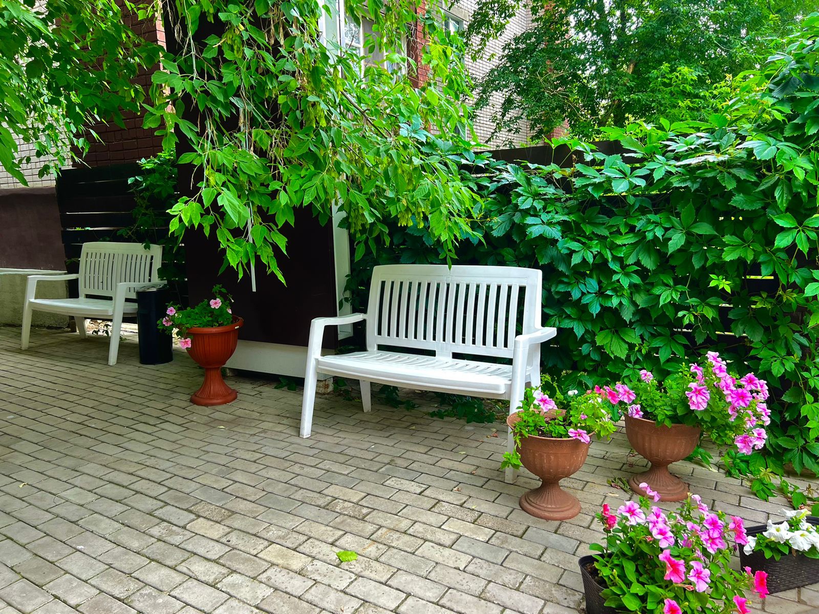 Фото Классик